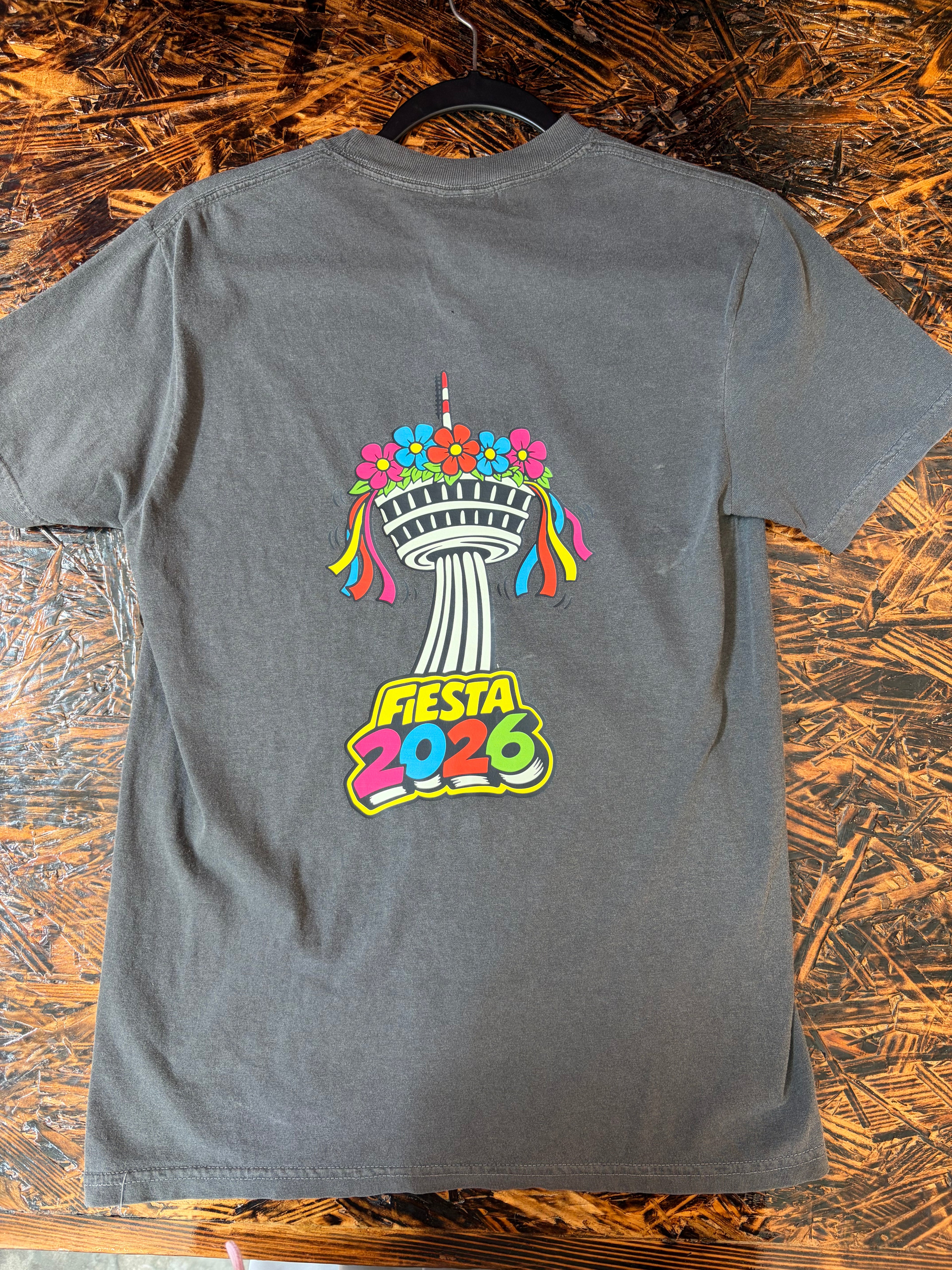 Fiesta 2026 grey